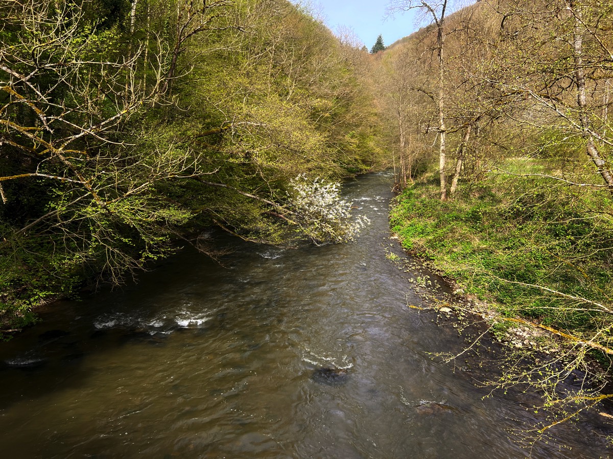 Alte Brauweilerer Brücke Fluss abwärts