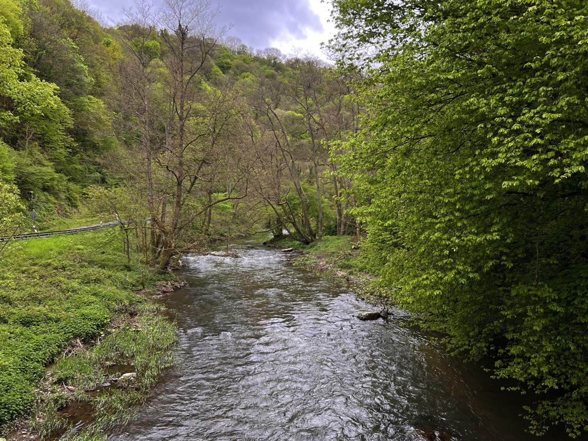 Alte Brauweilerer Brücke Fluss aufwärts
